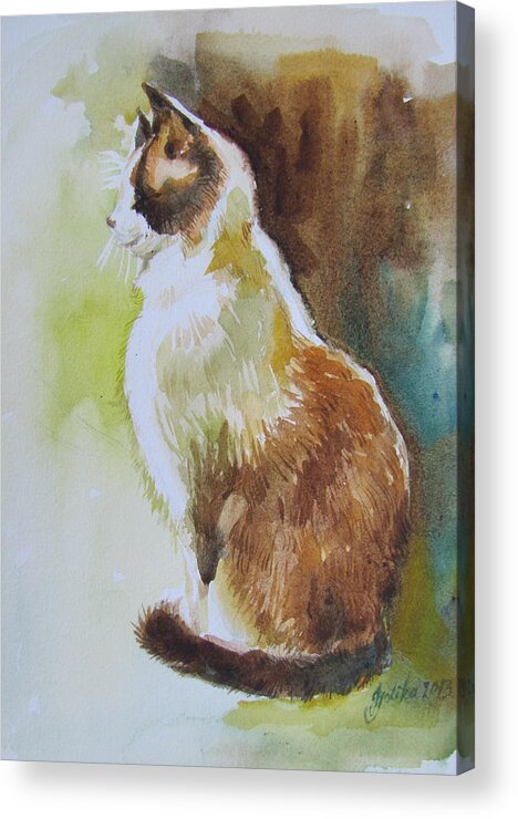 Cat Acrylic Print featuring the painting White and Brown Cat by Jyotika Shroff