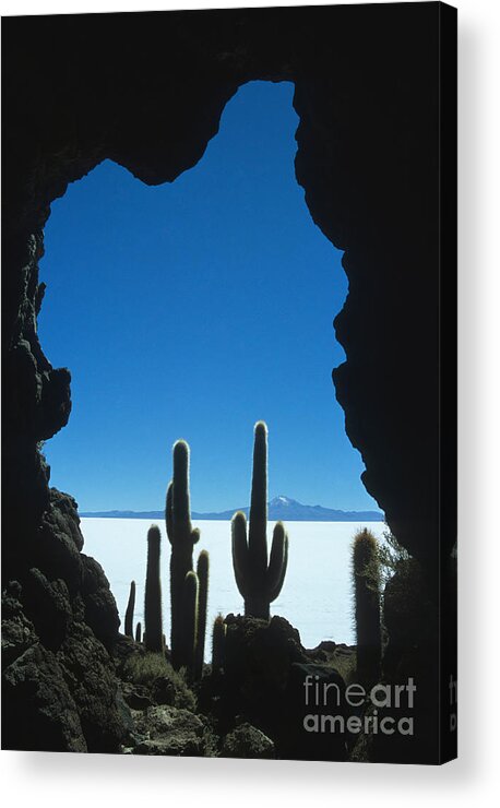 Bolivia Acrylic Print featuring the photograph Cave and cacti Incahuasi Island by James Brunker