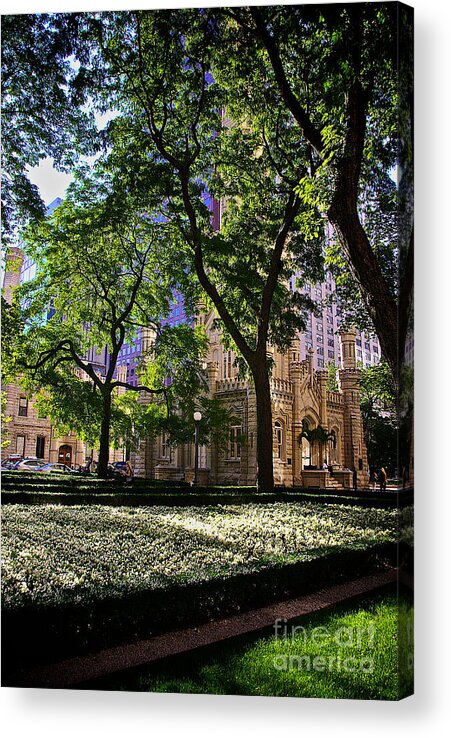 Park Acrylic Print featuring the photograph Chicago Morning in Water Tower Park by Frank J Casella