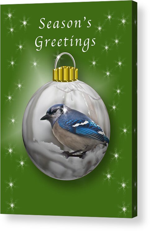 Christmas Acrylic Print featuring the photograph Christmas Card Blue Jay 2 by Michael Peychich