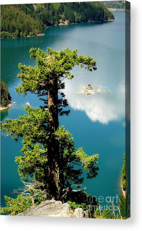 Mountains Acrylic Print featuring the photograph Clouds Reflection in Emerald Water Of Ross Lake by Tatyana Searcy