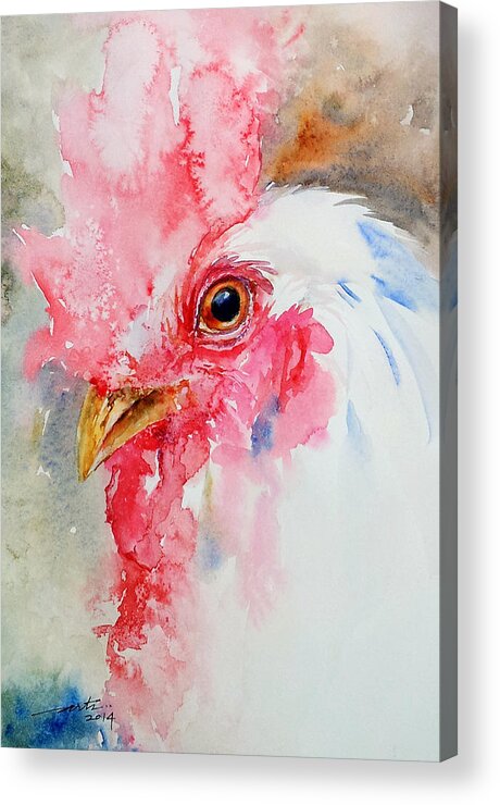 Watercolor Acrylic Print featuring the painting Cocky by Arti Chauhan