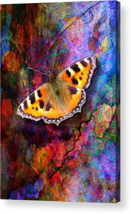 Colorful Acrylic Print featuring the digital art Colorful butterfly by Lilia D