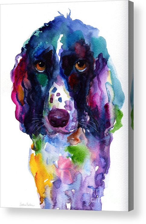 Hunter Dog Acrylic Print featuring the painting Colorful English Springer Setter Spaniel dog portrait art by Svetlana Novikova