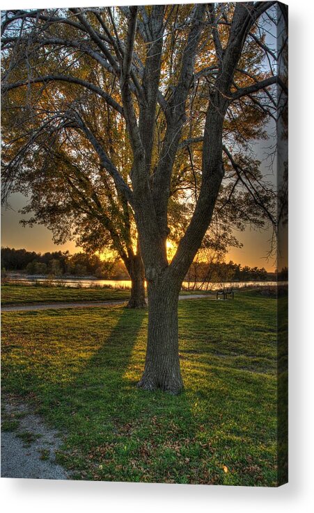 Autumn Acrylic Print featuring the photograph Colorful Sunset by Dimitry Papkov