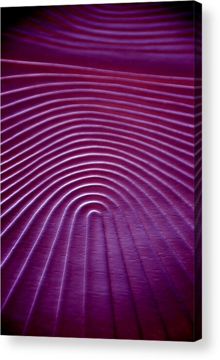 Wendy Acrylic Print featuring the photograph Contours 2 by Wendy Wilton