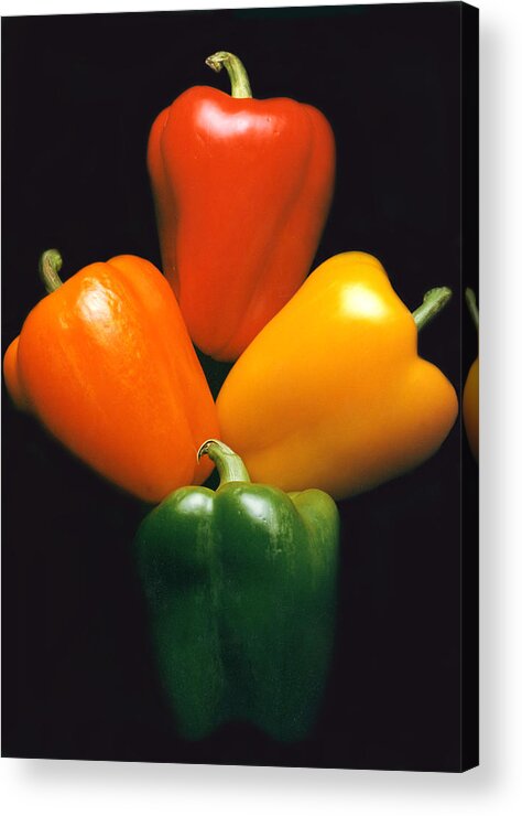Red Acrylic Print featuring the photograph Crayola Pepper Fan by Tom Baptist