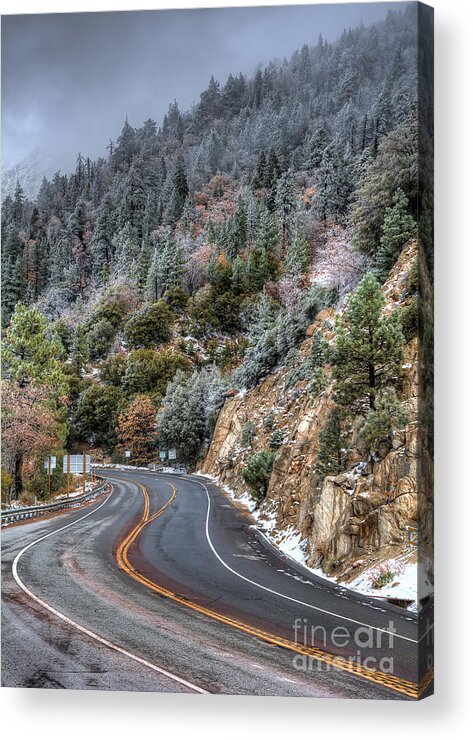 Curves Acrylic Print featuring the photograph Curves Ahead by Eddie Yerkish