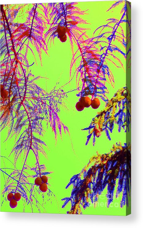 Cypress Acrylic Print featuring the photograph Cypress by Ann Johndro-Collins