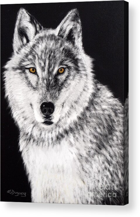 Wolf Acrylic Print featuring the drawing The Sentinel by Lora Duguay