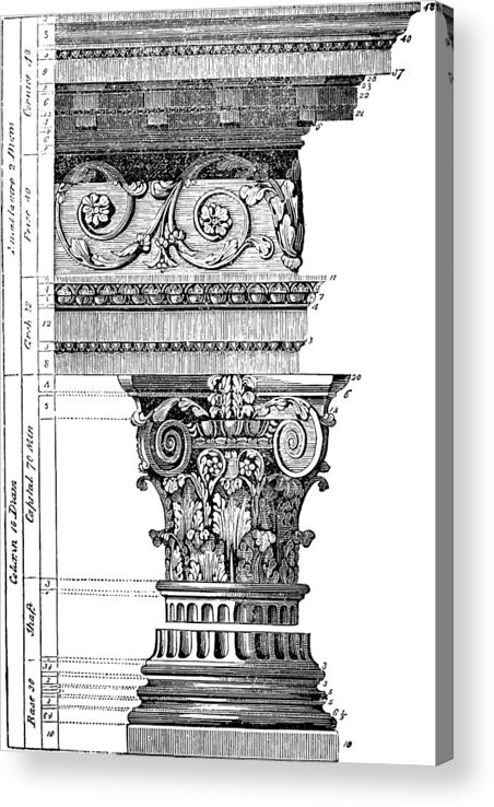 Corinthian Column Acrylic Print featuring the photograph Detail Of A Corinthian Column And Frieze I by Suzanne Powers