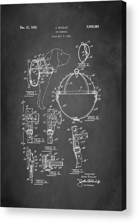 Dog Harness Patent Acrylic Print featuring the digital art Dog Harness Patent 1935 by Patricia Lintner
