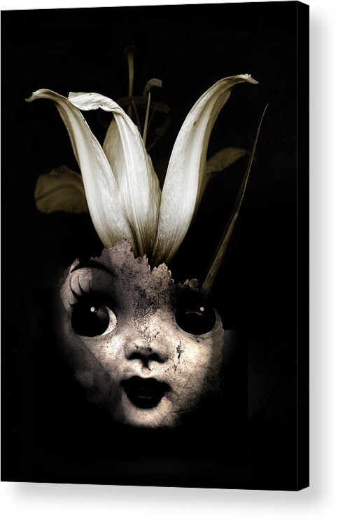 Black Acrylic Print featuring the photograph Doll flower by Johan Lilja