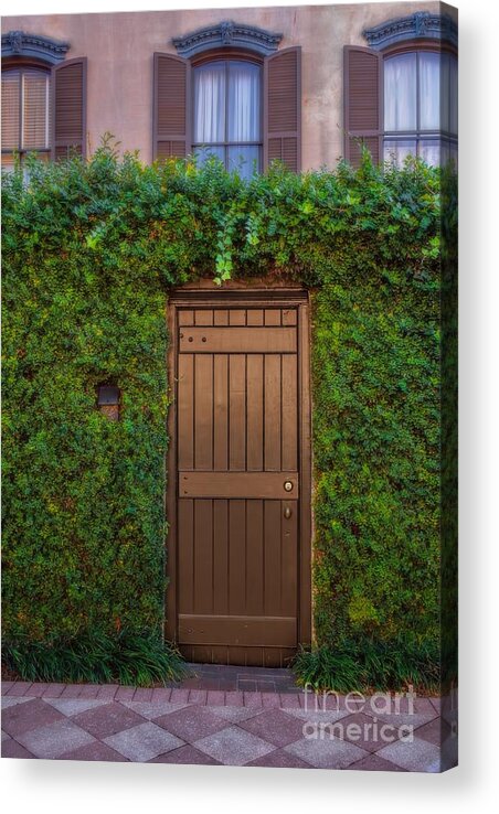 Savannah Acrylic Print featuring the photograph Door in the Hedge Savannah by Henry Kowalski