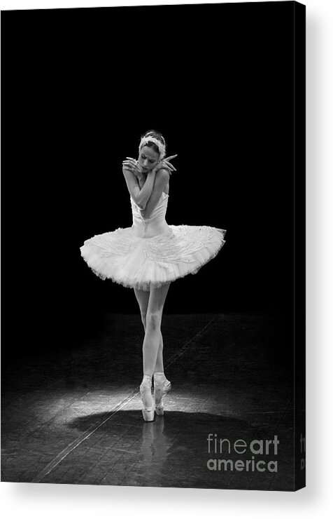 Clare Bambers Acrylic Print featuring the photograph Dying Swan 5. by Clare Bambers