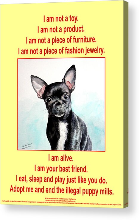 Puppy Acrylic Print featuring the photograph End the Puppy Mills by Christopher Shellhammer