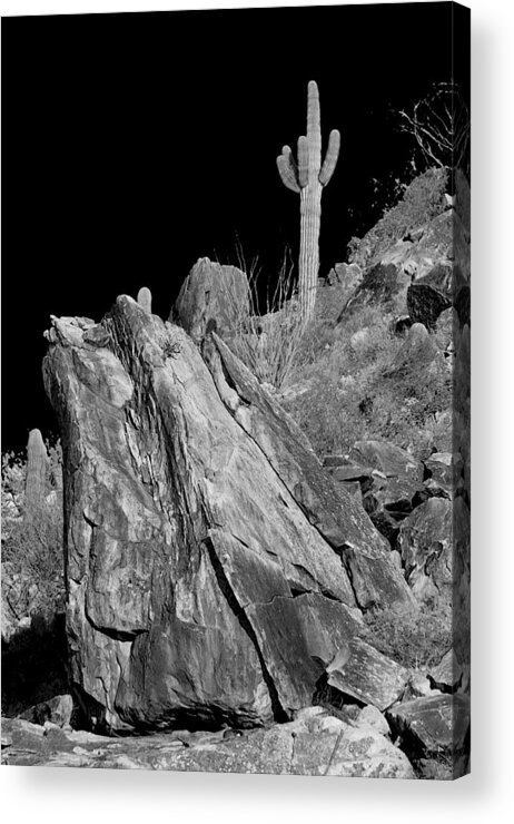 Desert Acrylic Print featuring the photograph Estrella Mountain Saguaro by Jim Painter