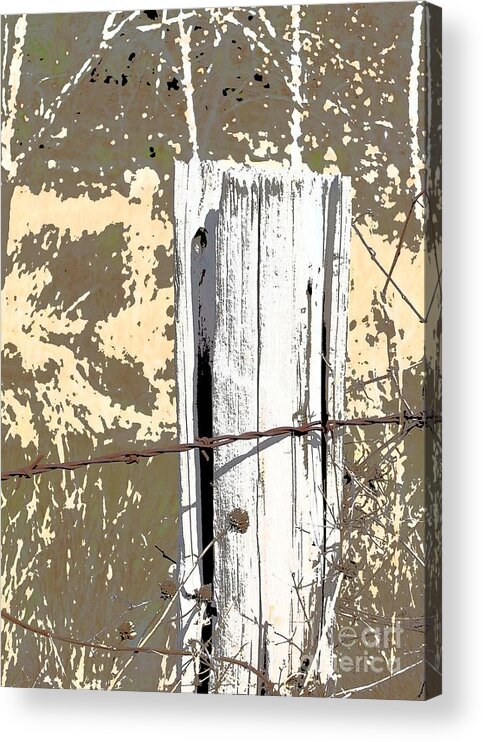 Country Acrylic Print featuring the photograph Fenced by Marsha Young