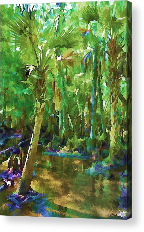Painting Acrylic Print featuring the photograph Florida Palms by Sandy Poore