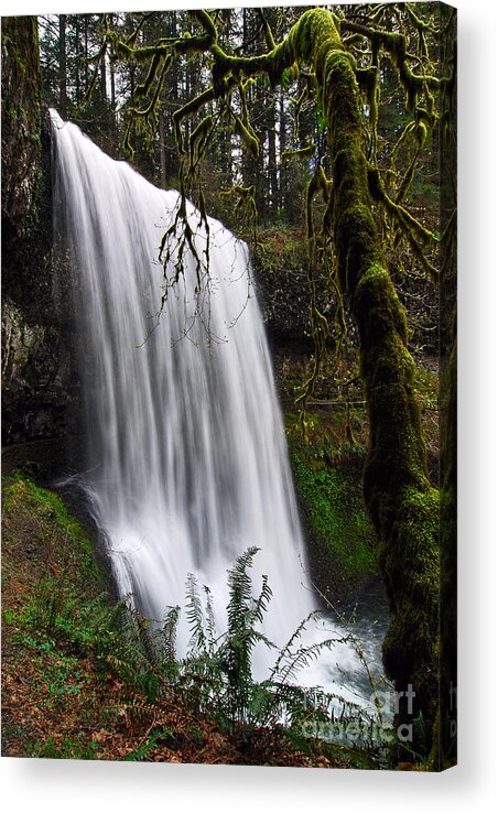Home wall decor. South Falls waterfall photo Offering Nature Photography in Prints Canvas and Metal Art Silver Falls State Park Oregon
