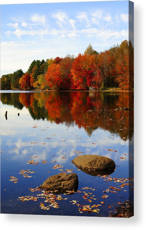 Autumn Acrylic Print featuring the photograph Forever Autumn by Luke Moore