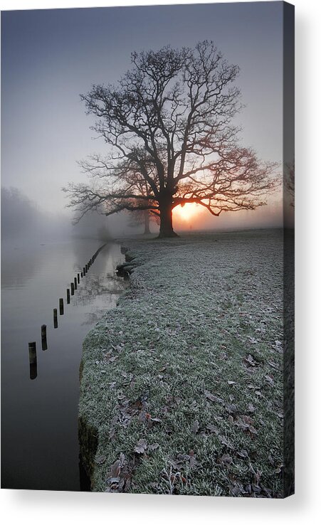 Lake Acrylic Print featuring the photograph Fresh New Morning by John Chivers