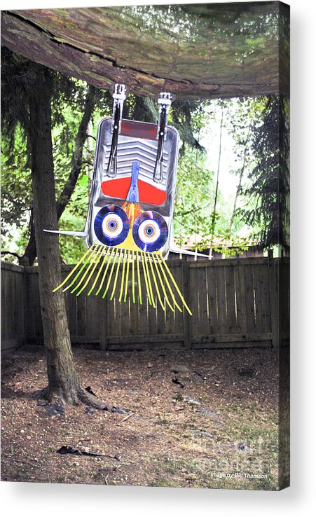 Assemblage Sculpture Acrylic Print featuring the mixed media Fun to hang upside down from a tree by Bill Thomson