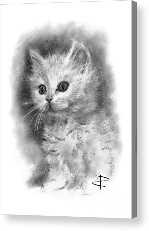 Pussycat Acrylic Print featuring the drawing Furball by Paul Davenport