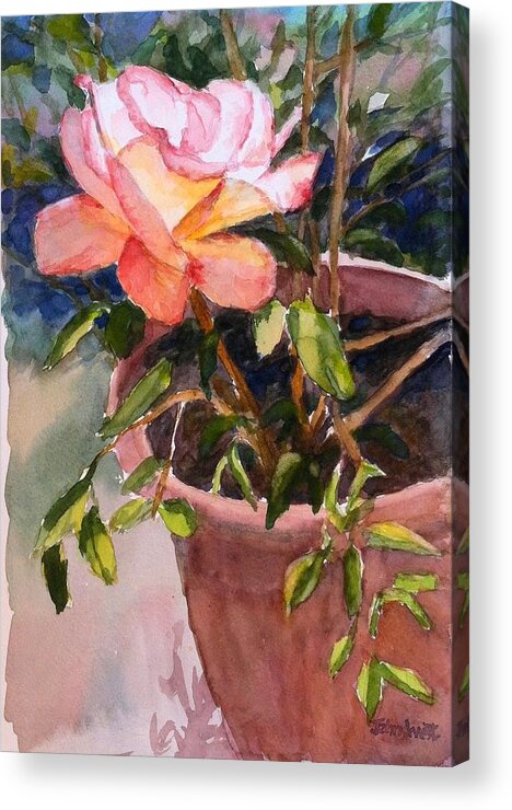 Still Life Acrylic Print featuring the painting Golden Glow Rose by John West