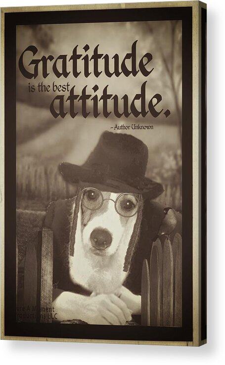 Canine Thanksgiving Acrylic Print featuring the digital art Gratitude is the best Attitude -5 by Kathy Tarochione