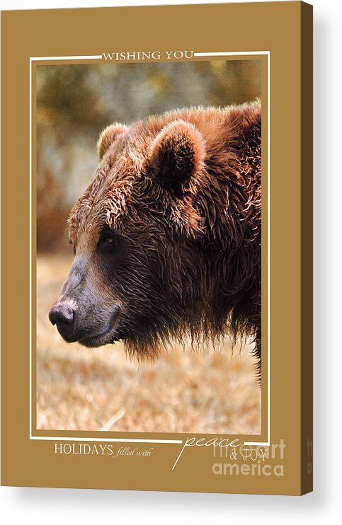 Animal Christmas Cards Acrylic Print featuring the photograph Grizzly Bear Wildlife Christmas Cards by Jai Johnson