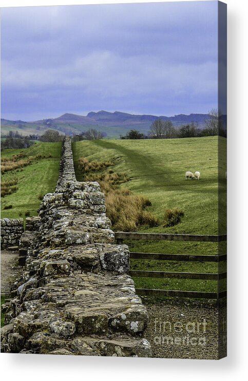 M C Story Acrylic Print featuring the photograph Hadrian's Wall by Mary Carol Story