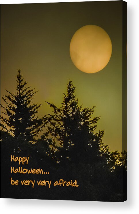 Christmas Acrylic Print featuring the photograph Halloween by Joye Ardyn Durham