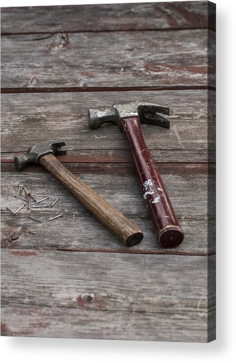 Hammer Acrylic Print featuring the photograph Hammers and Nails Vertical by Photographic Arts And Design Studio