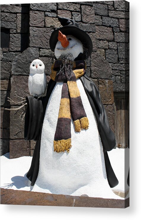 Islands Of Adventure Acrylic Print featuring the photograph Harry Christmas by David Nicholls
