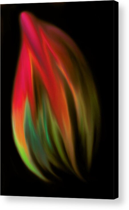 Heat Of The Moment Acrylic Print featuring the photograph Heat of The Moment by Marianna Mills