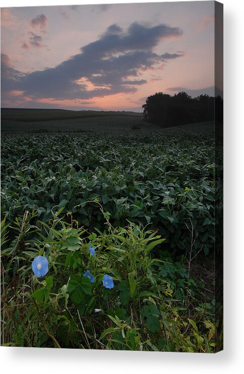  Acrylic Print featuring the photograph Heavenly Blue by Gregory Blank