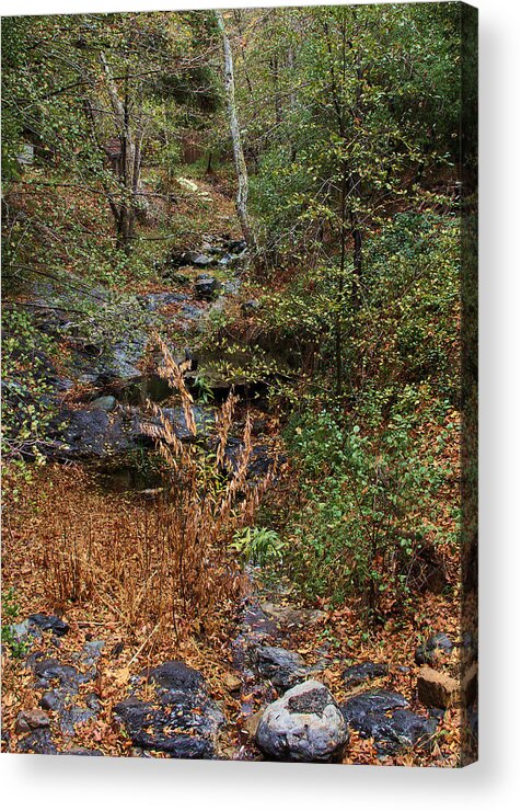Hidden Creek In Silverado Canyon Acrylic Print featuring the photograph Hidden Creek In Silverado Canyon by Viktor Savchenko