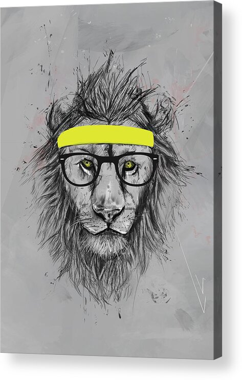 Lion Acrylic Print featuring the drawing Hipster lion by Balazs Solti