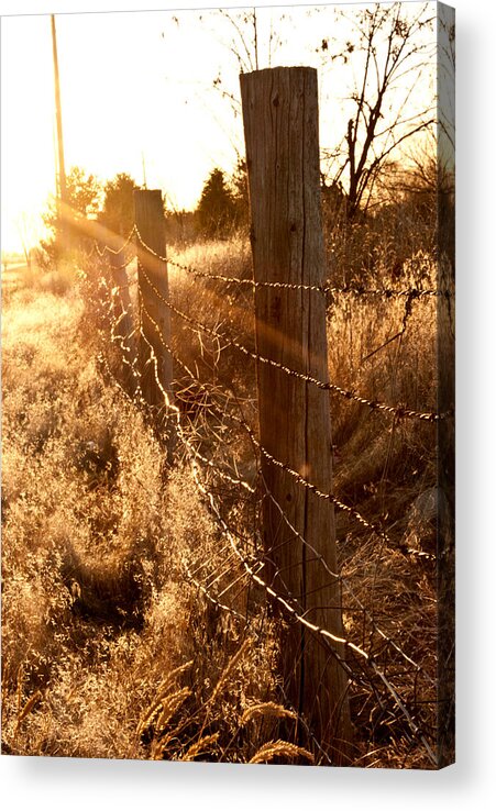 Old Fence Acrylic Print featuring the photograph His Light by Jessica Tookey