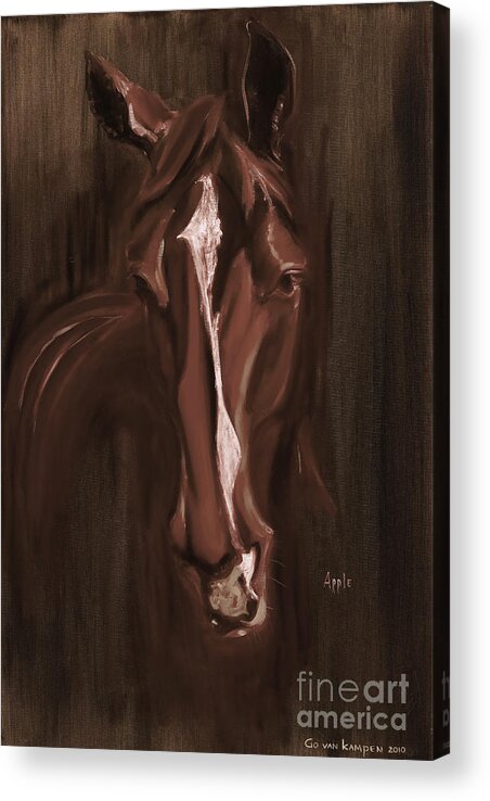 Horse Acrylic Print featuring the painting Horse Apple warm brown by Go Van Kampen