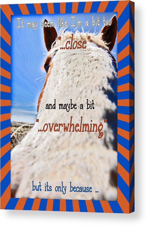 Funny Acrylic Print featuring the mixed media Humorous Funny Greeting Card by Amanda Smith