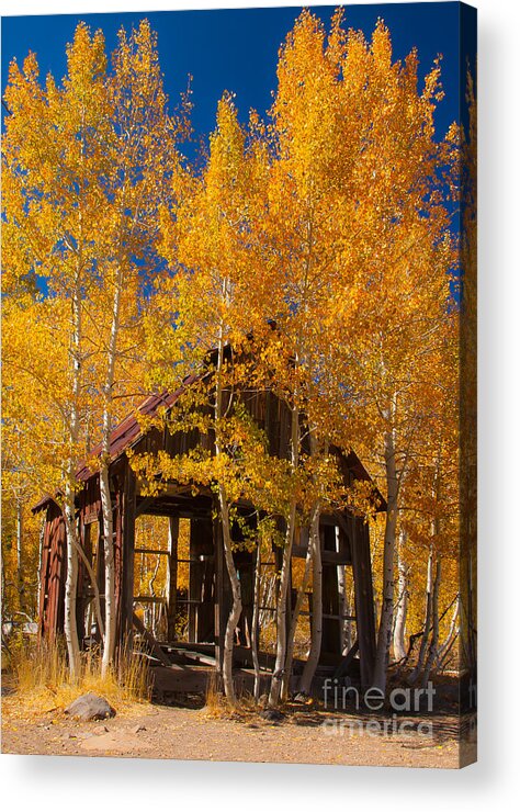 Landscape Acrylic Print featuring the photograph Hushed Home by Charles Garcia