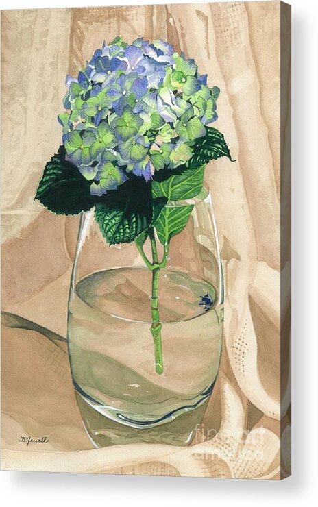 Flower Acrylic Print featuring the painting Hydrangea Blossom by Barbara Jewell