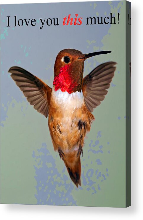 Bird Acrylic Print featuring the photograph I love you THIS much by Gregory Scott
