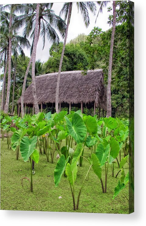 Hawaiian Acrylic Print featuring the photograph Iao Valley 36 by Dawn Eshelman