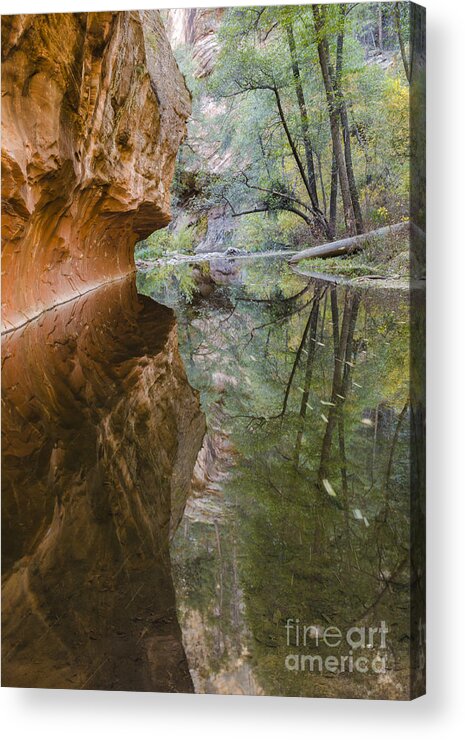 West Fork Acrylic Print featuring the photograph Iconic by Tamara Becker