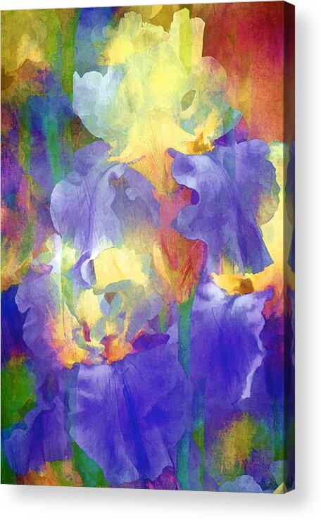 Floral Acrylic Print featuring the photograph Iris 66 by Pamela Cooper