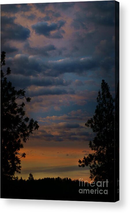 Sunrise Acrylic Print featuring the photograph Landscape by Loni Collins