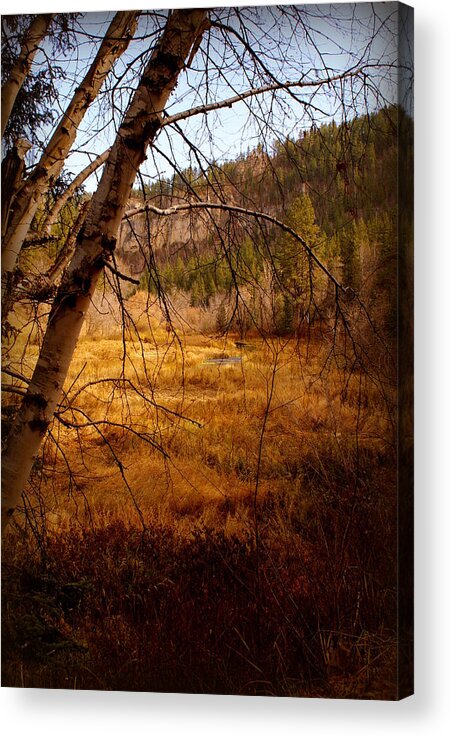 Fall Acrylic Print featuring the photograph Late Fall by Jerry Cahill